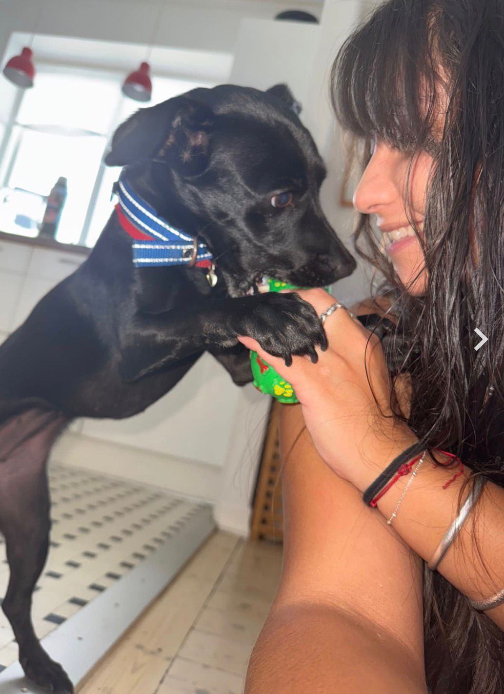 Sofia playing with a black dog in the kitchen