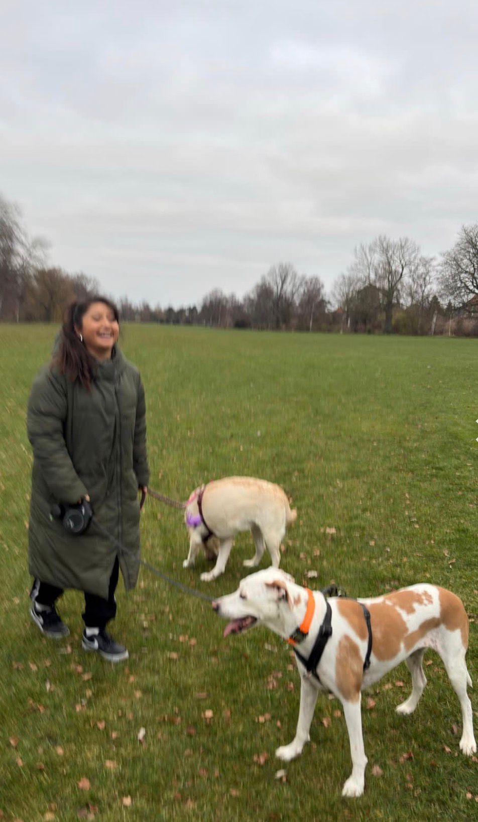 Sofia walking two dogs across a grassy field