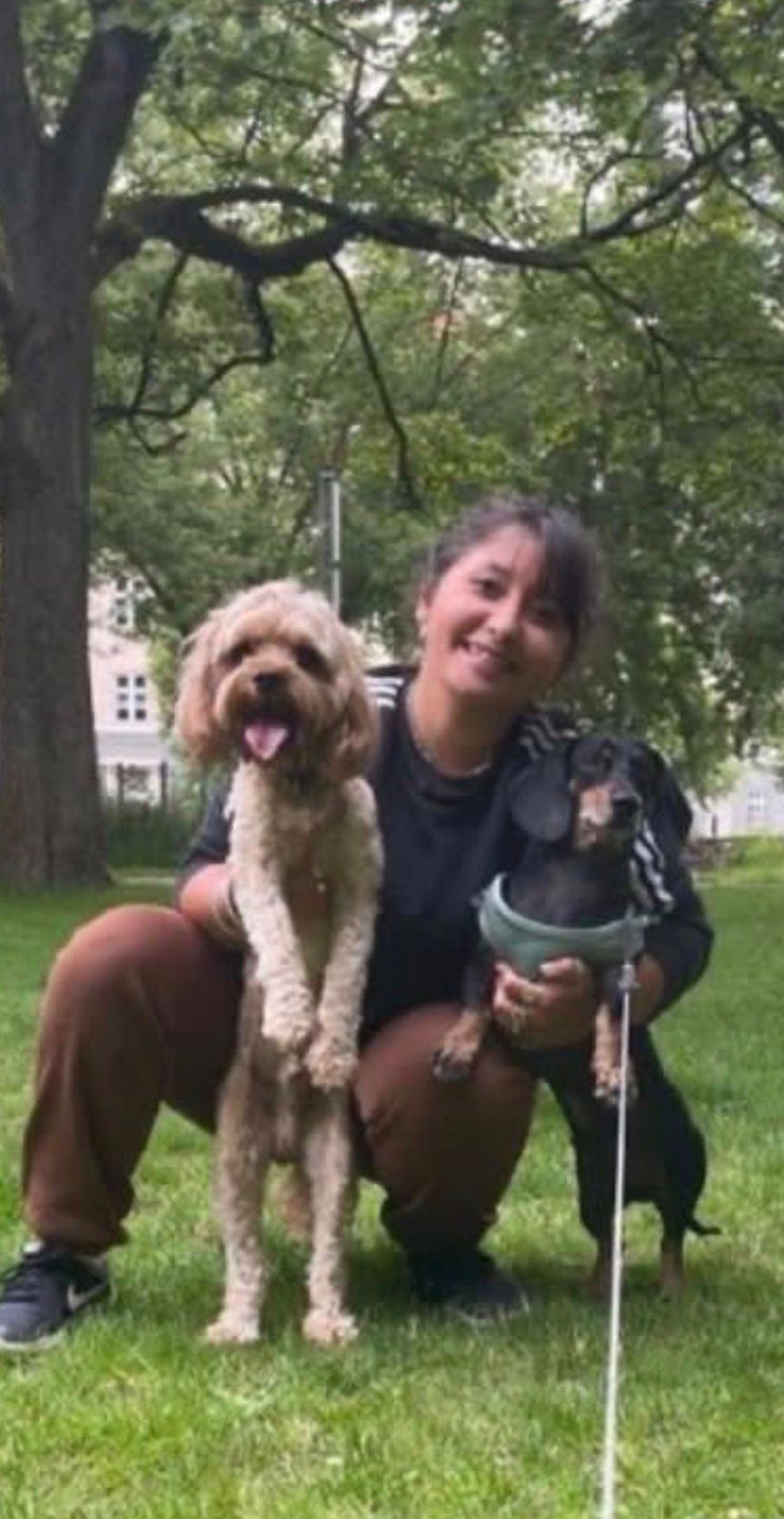Sofia crouching with a cockapoo and a dachshund