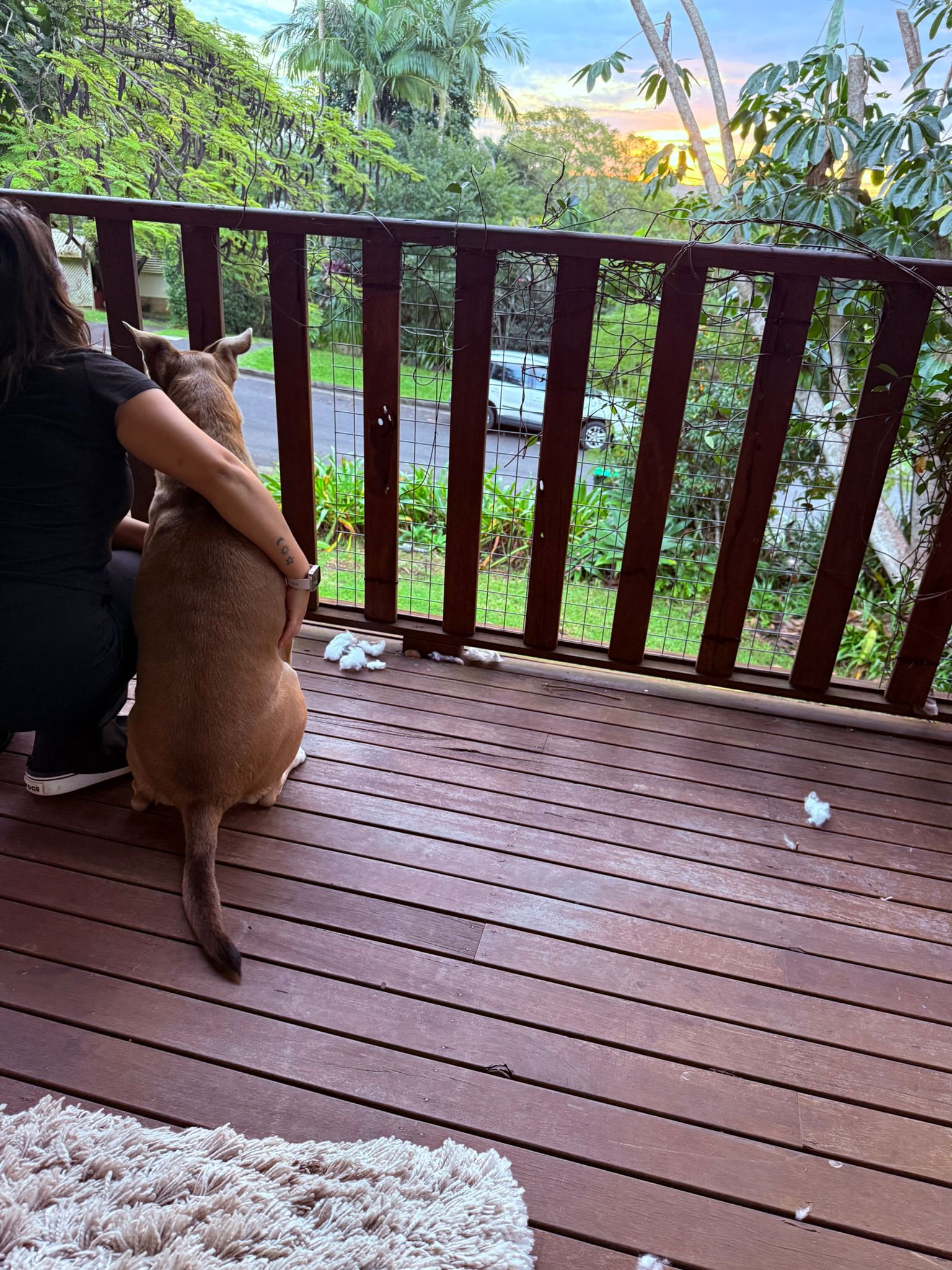 Sofia and a dog watching the sunset from a balcony