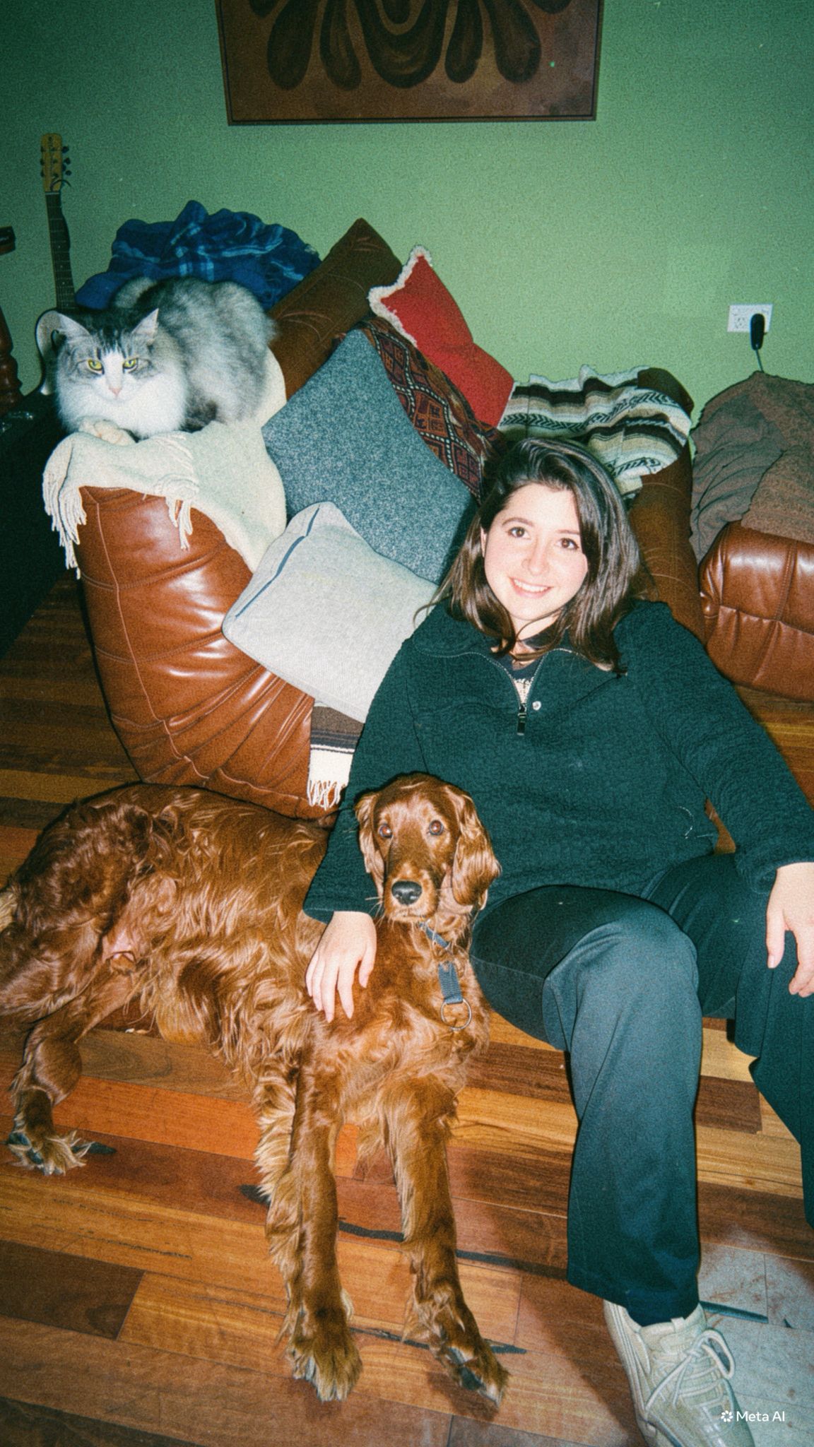 Sofia on a couch with a cat and an Irish setter